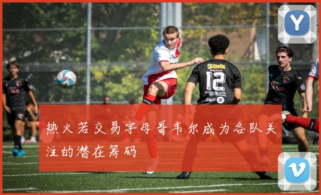 热火若交易字母哥韦尔成为各队关注的潜在筹码