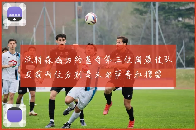 沃特森成为约基奇第三位周最佳队友前两位分别是米尔萨普和穆雷